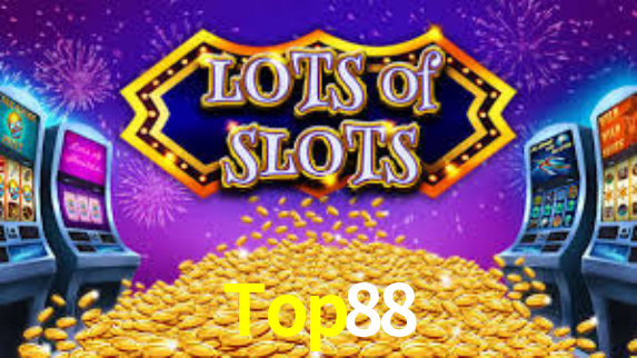 Interface Premium Top88